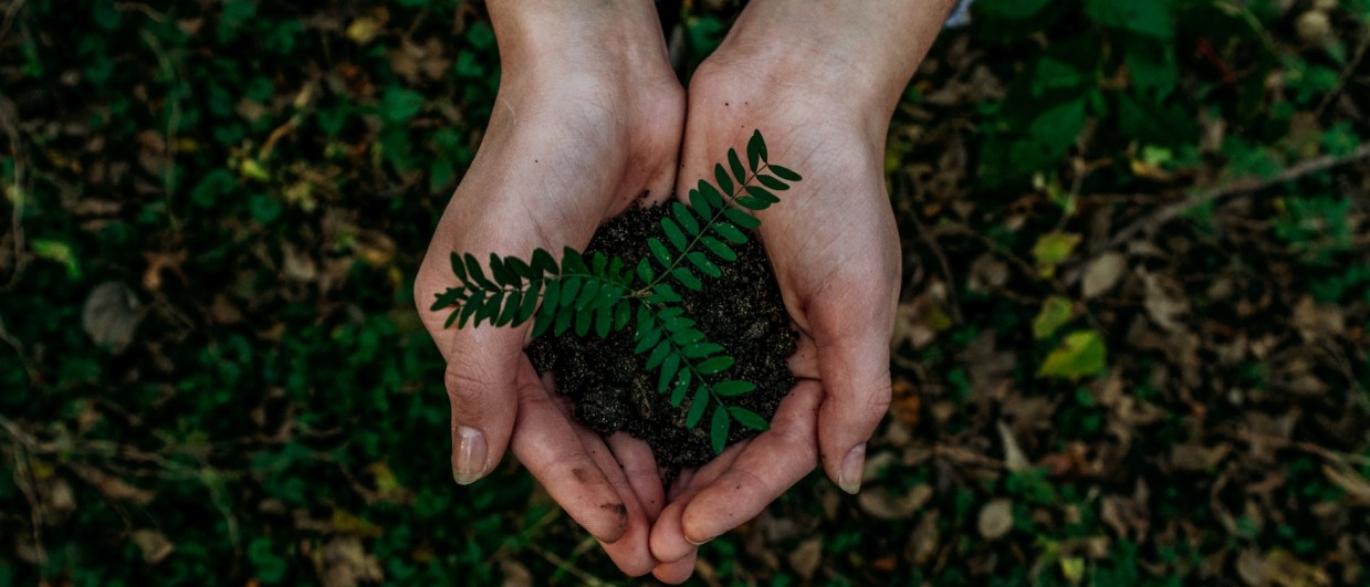 Green Finance: Die Rolle der Finanzindustrie bei der Förderung nachhaltiger Projekte - Titelbild