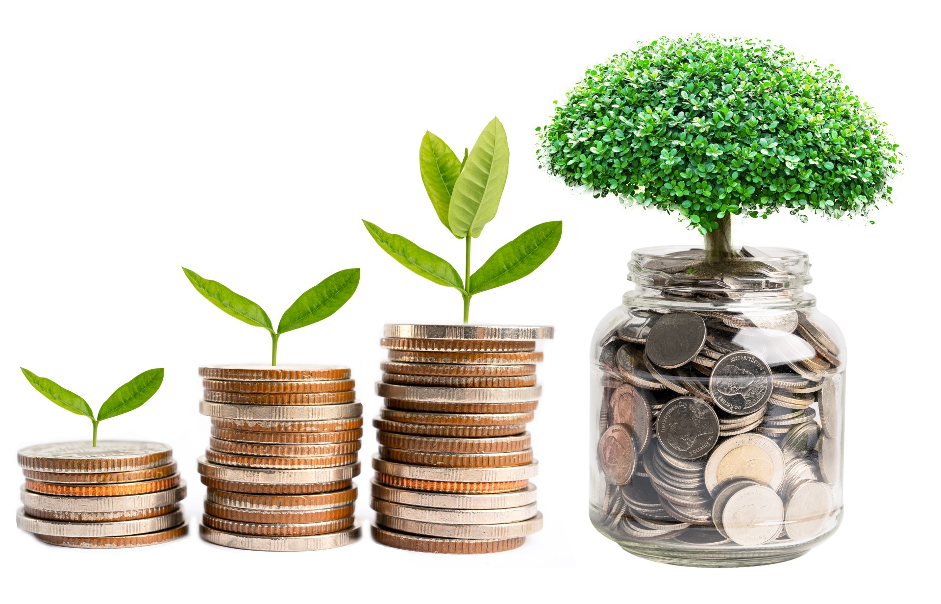 Nachhaltige Aktien und ETFs - Ökologisch investieren - Titelbild