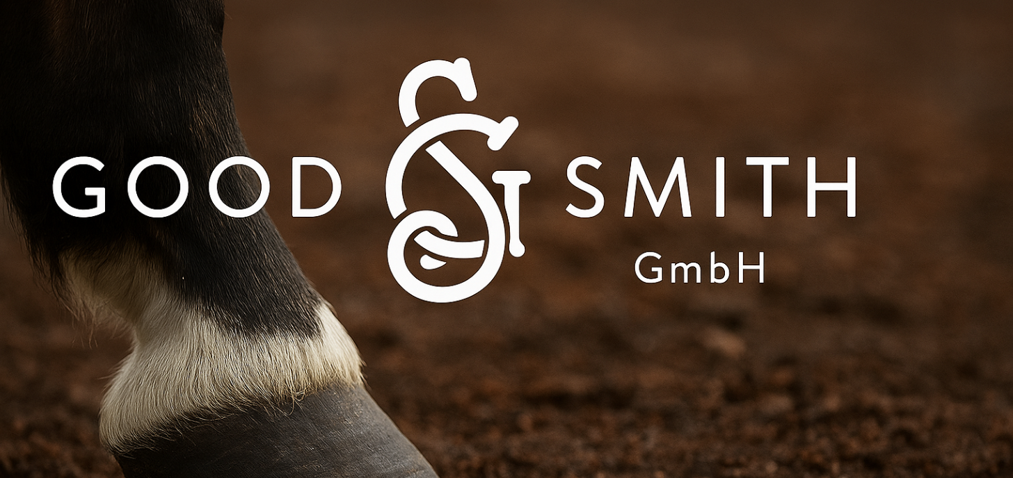 Goodsmith GmbH: Erfahrungen und Rezensionen - Titelbild