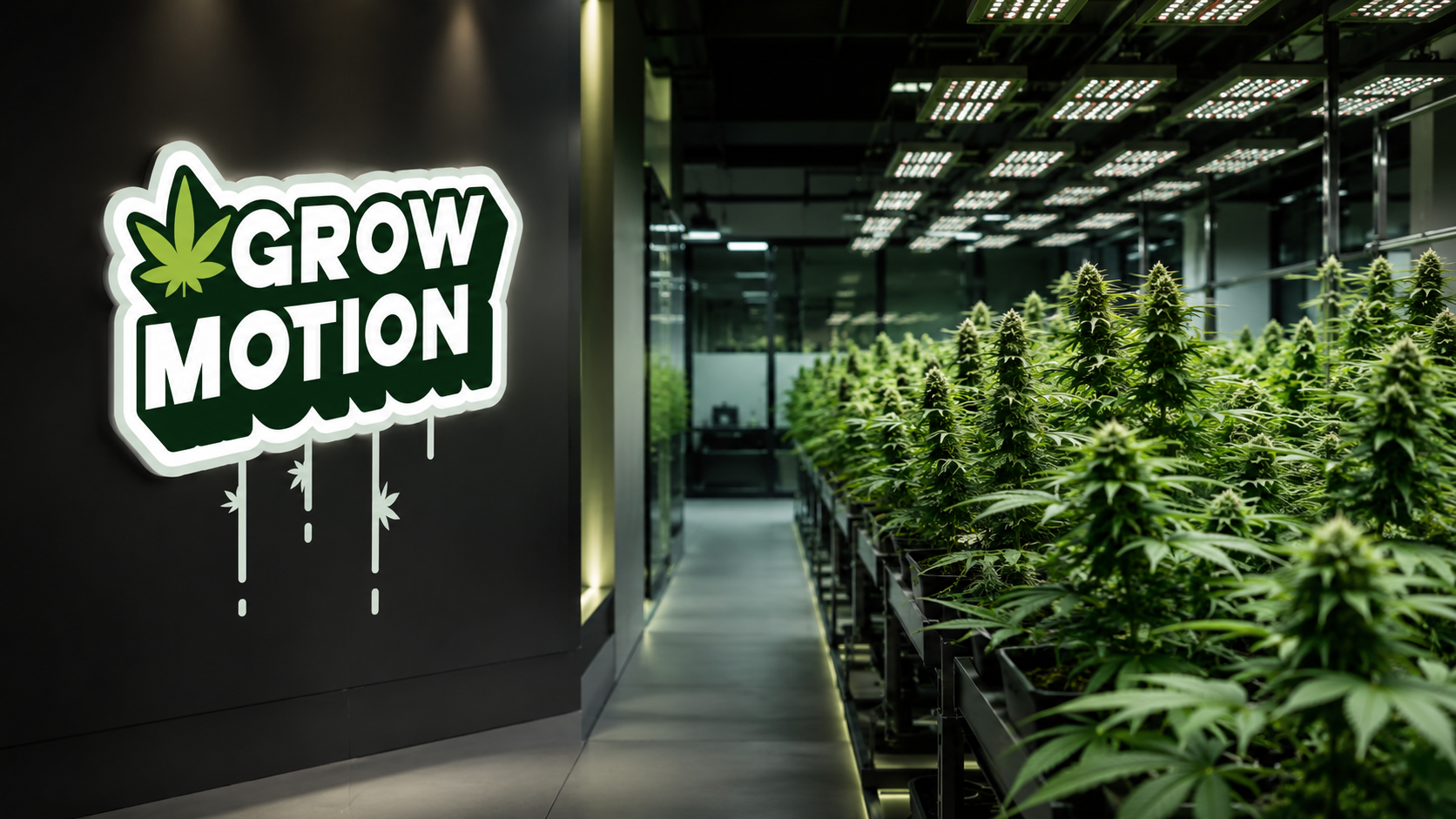 GrowMotion Erfahrungen: Schweizer Qualität trifft auf einen wachsenden Medizinalcannabis-Markt - Titelbild