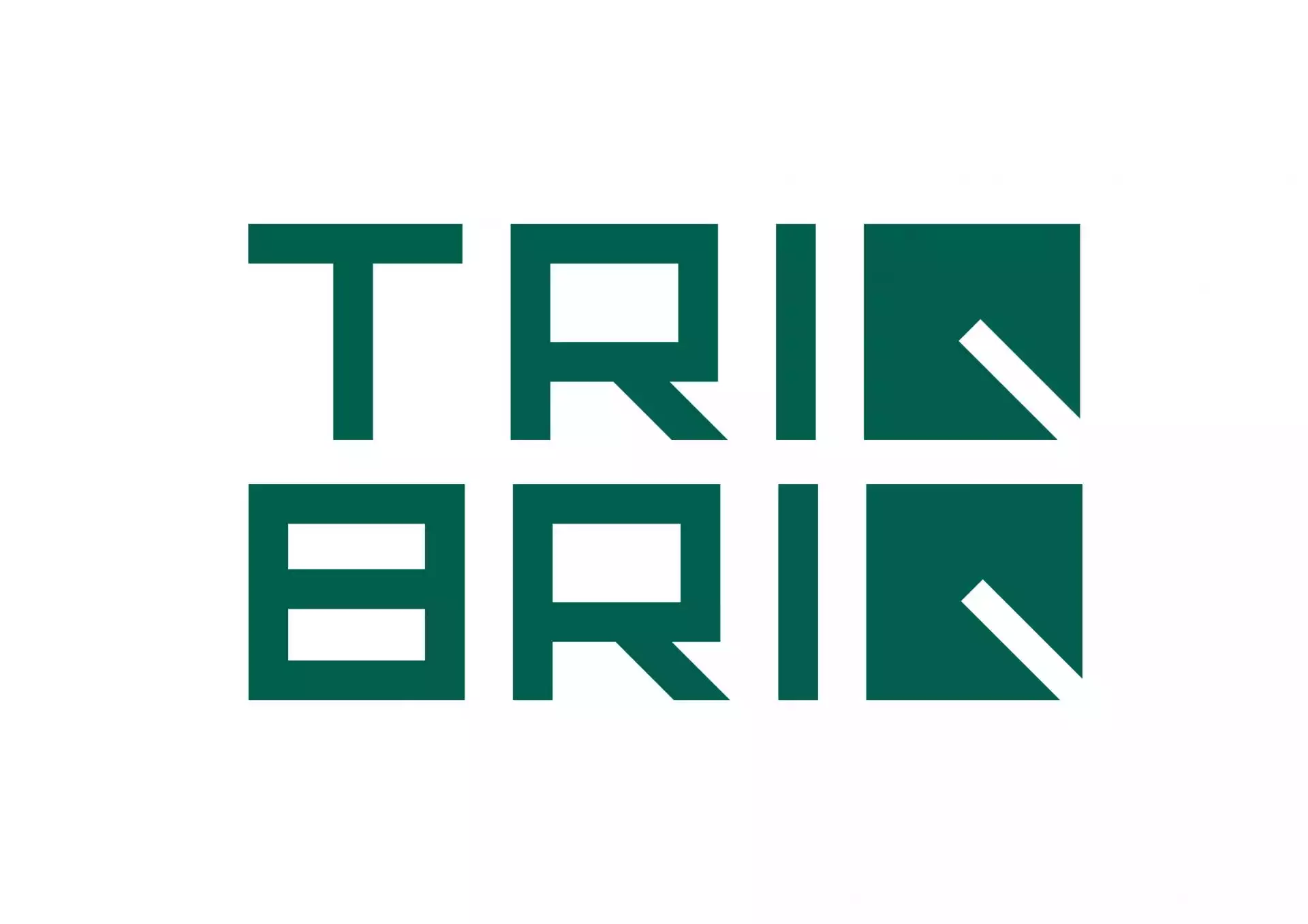 TRIQBRIQ AG - Logo
