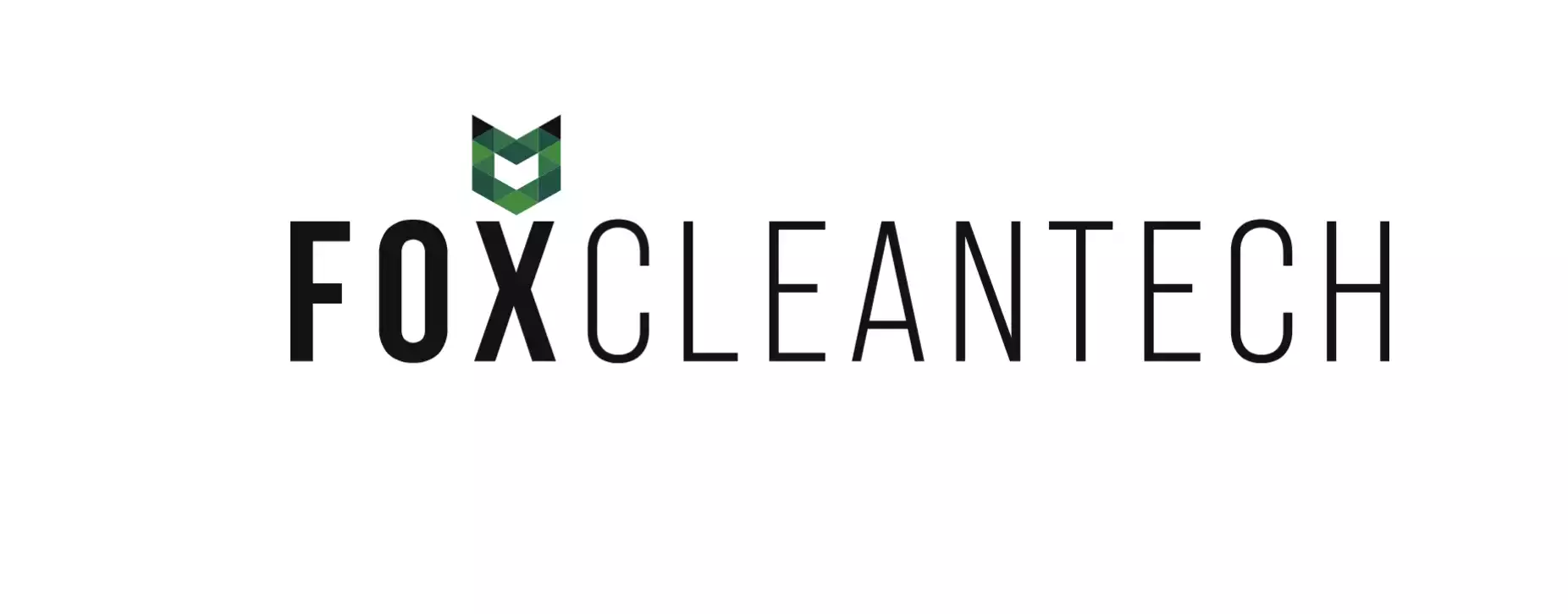 Green FOX Energy GmbH - FOX CLEANTECH