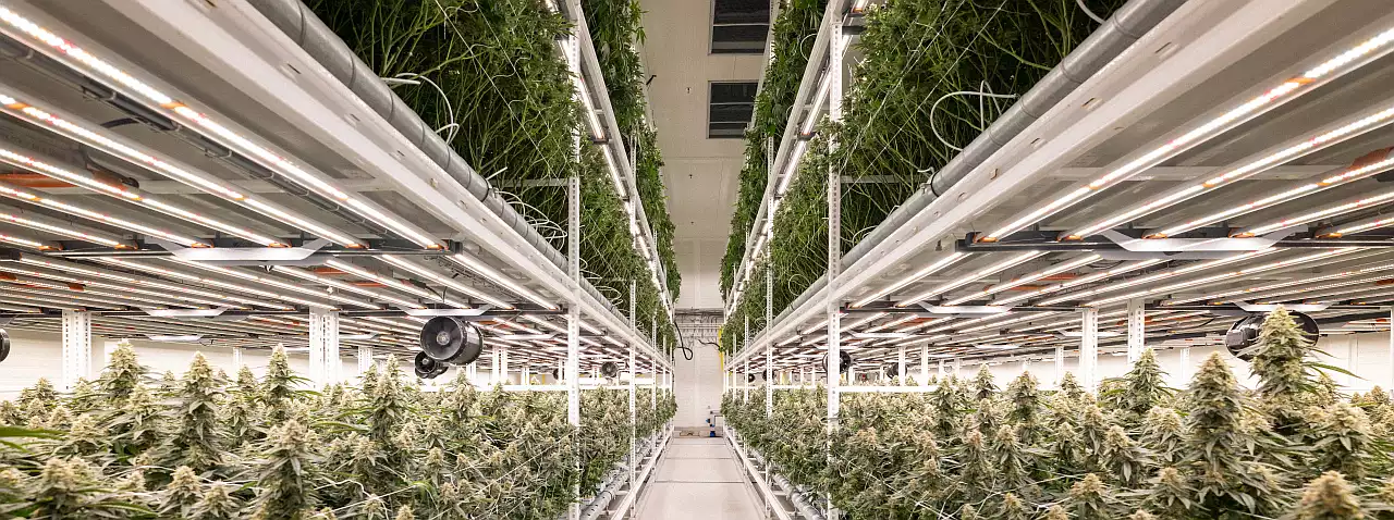 Grow Motion AG - Titelbild