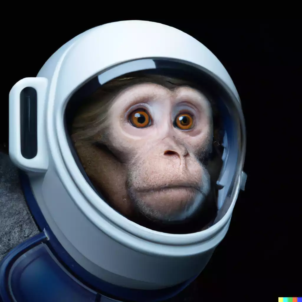 DALL-E 2: High quality photo of a monkey astronaut - Hochwertiges Foto eines Affen-Astronauten