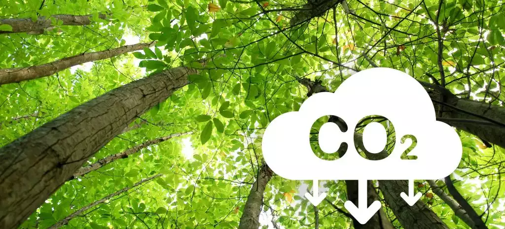 Auswirkungen und unternehmerische Maßnahmen gegen den Klimawandel gehören zu den klassischen Themen der Nachhaltigkeitskommunikation.