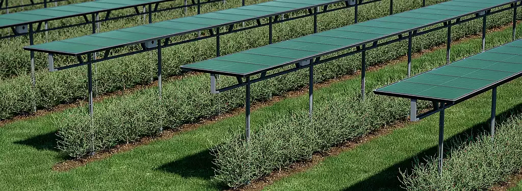 Agri-Racks kombinieren landwirtschaftliche Produktion und Stromerzeugung auf der gleichen Fläche. In der Schweiz betreibt MABEWO zusammen mit der ZHAW eine Pilotanlage, um die Potenziale von Agri-PV zu untersuchen. 