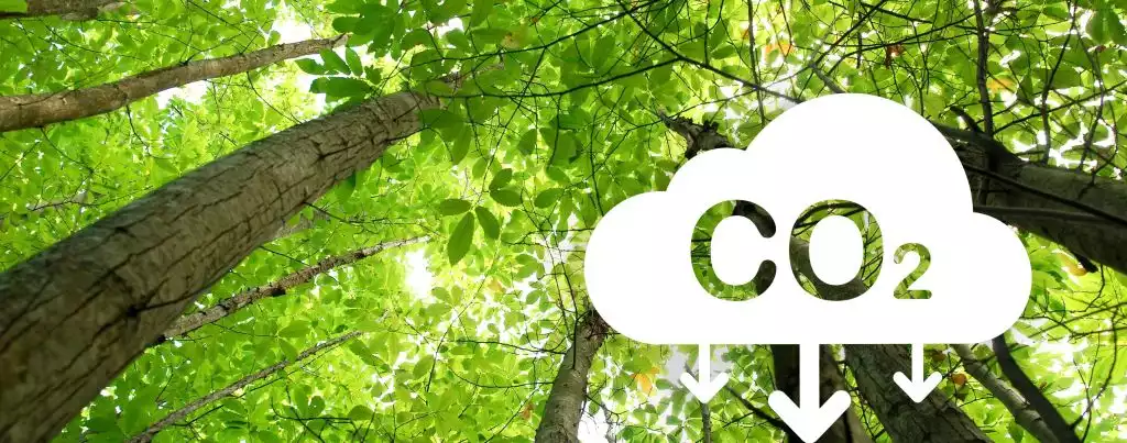 Umweltaktivisten haben den Markt der CO2-Zertifikate für sich entdeckt und versuchen über den Ankauf und die Vernichtung dem Markt dauerhaft Emissionsrechte zu entziehen. 