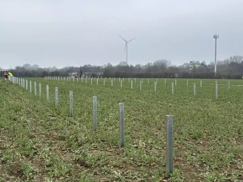 Ende März 2025 wurden die ersten Pfosten für den neuen Solarpark Beckum eingerammt © Green Fox Energy auf LinkedIn