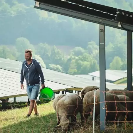 Schäfer Christian Scheid aus dem Saarland ist überzeugt: „Schafe im Solarpark – das ist für alle Seiten ein Gewinn!“ © ON Energy GmbH, Dortmund