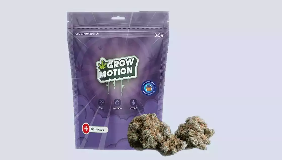 Mit selbst entwickelten Genetiken hat sich GrowMotion ein unverwechselbares Produktportfolio aufgebaut – und positioniert sich damit auf Augenhöhe mit international renommierten US-amerikanischen Marken.