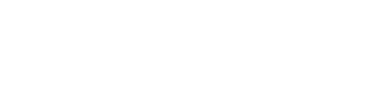 AMAGVIK AG